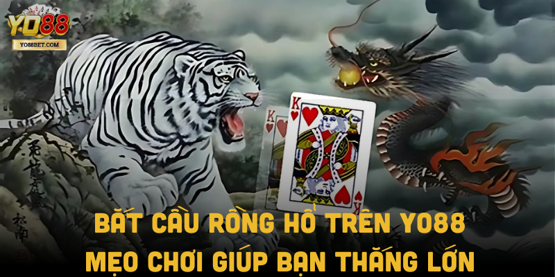 Bắt Cầu Rồng Hổ Trên Yo88: Mẹo Chơi Giúp Bạn Thắng Lớn